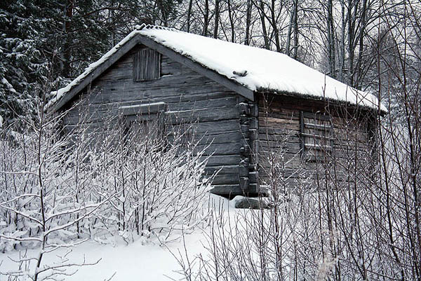 Sälsten