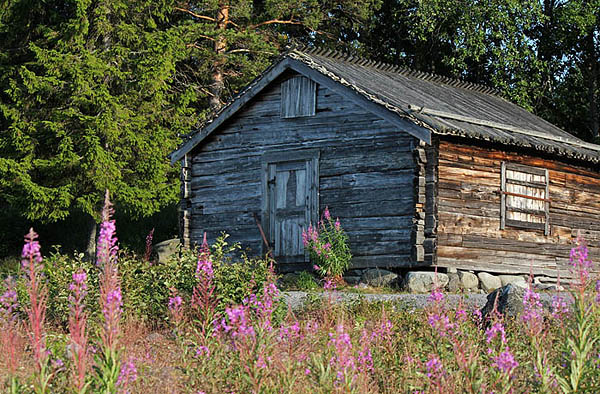 Sälsten