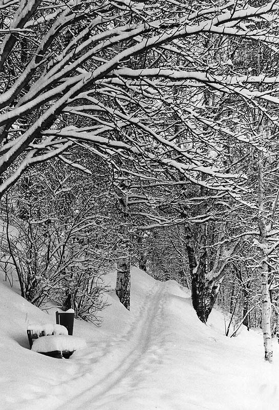 Nordanå, Skellefteå 1979