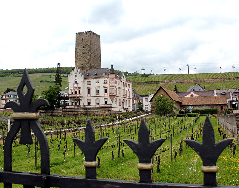 Rüdesheim 