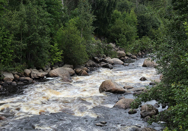 Kåge