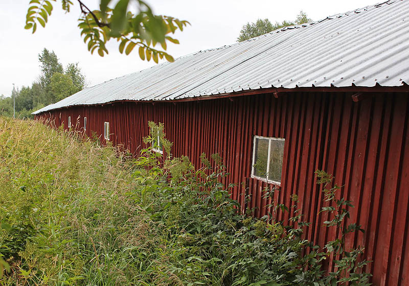 Kåge
