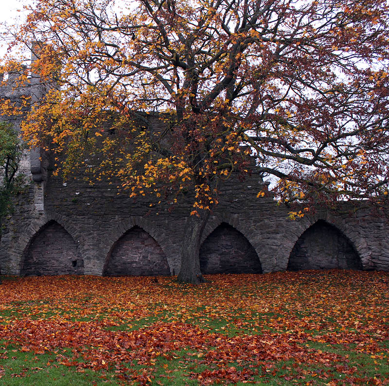 Visby