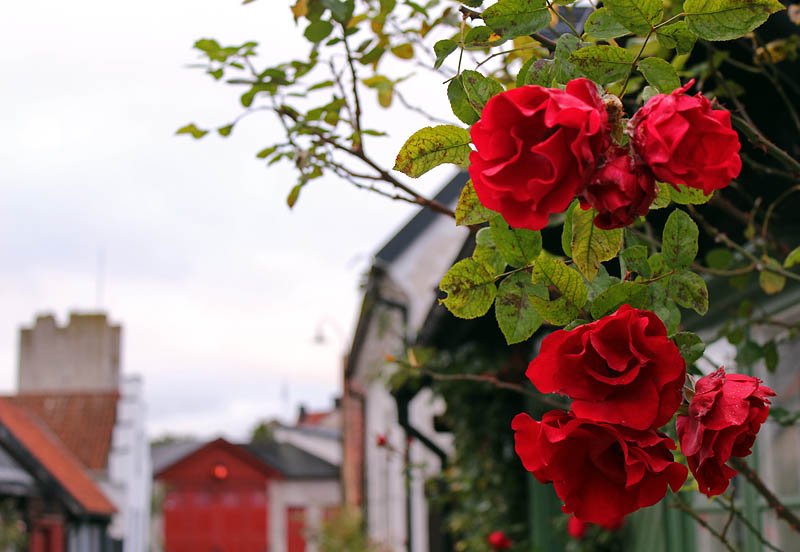 Visby