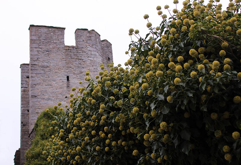 Visby