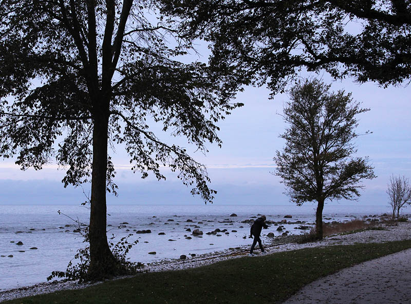 Visby