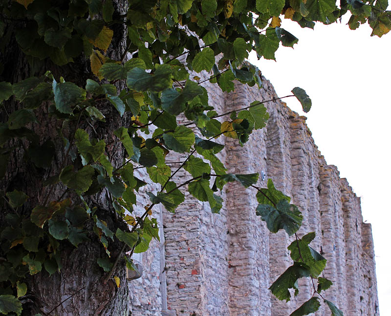 Visby