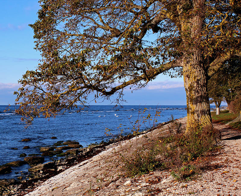 Visby