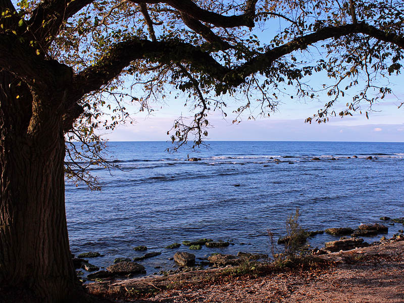Visby