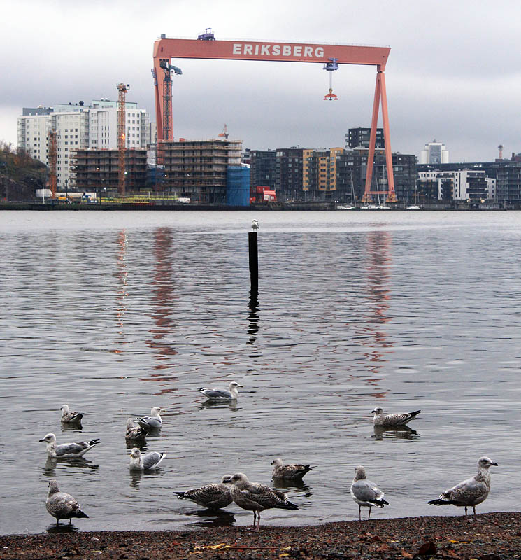 Göteborg