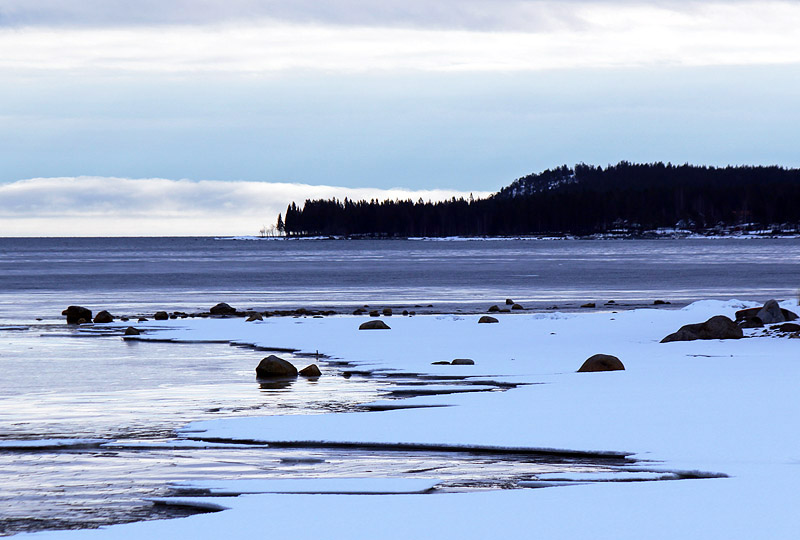 Boviken