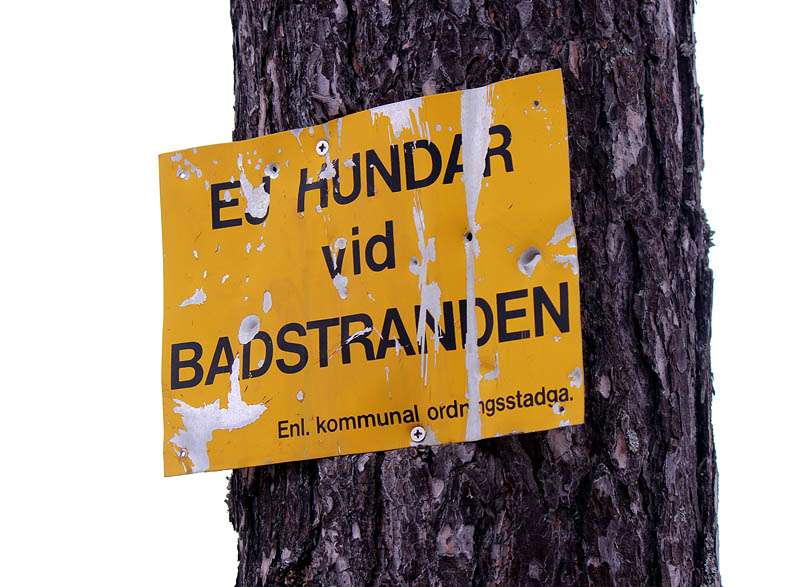 Boviken