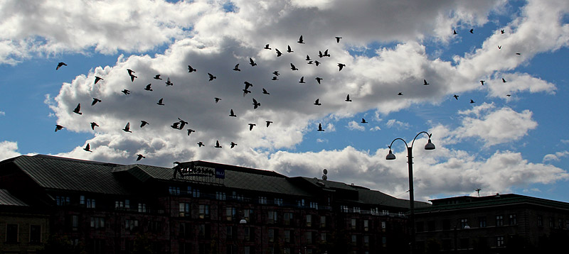 Göteborg