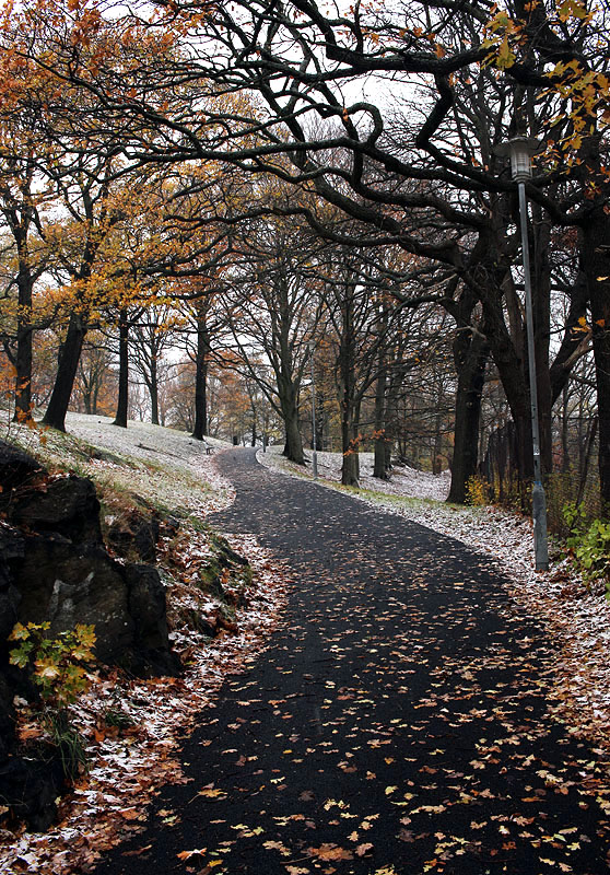 Redbergsparken