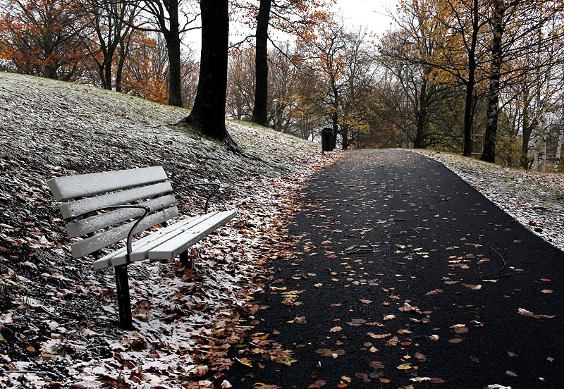 Redbergsparken
