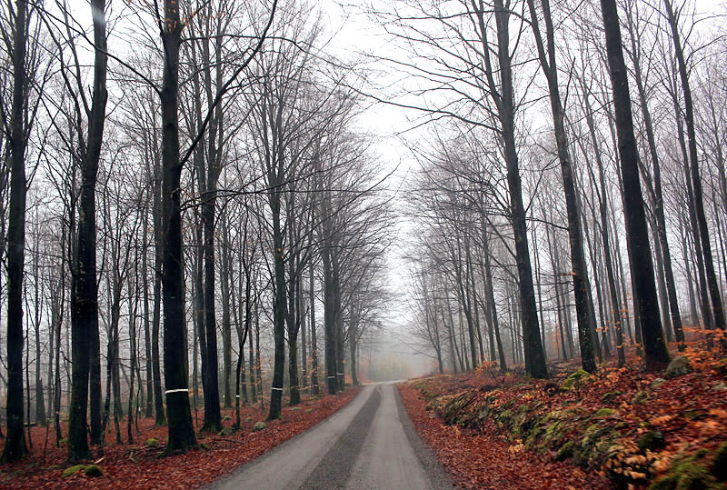 Falkenberg