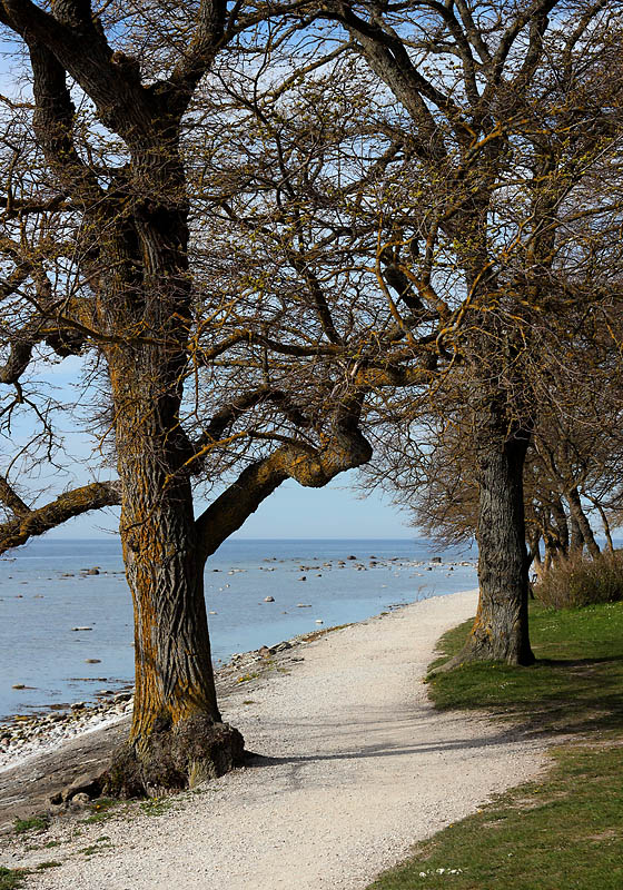Visby