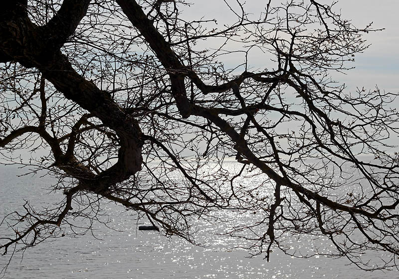 Visby