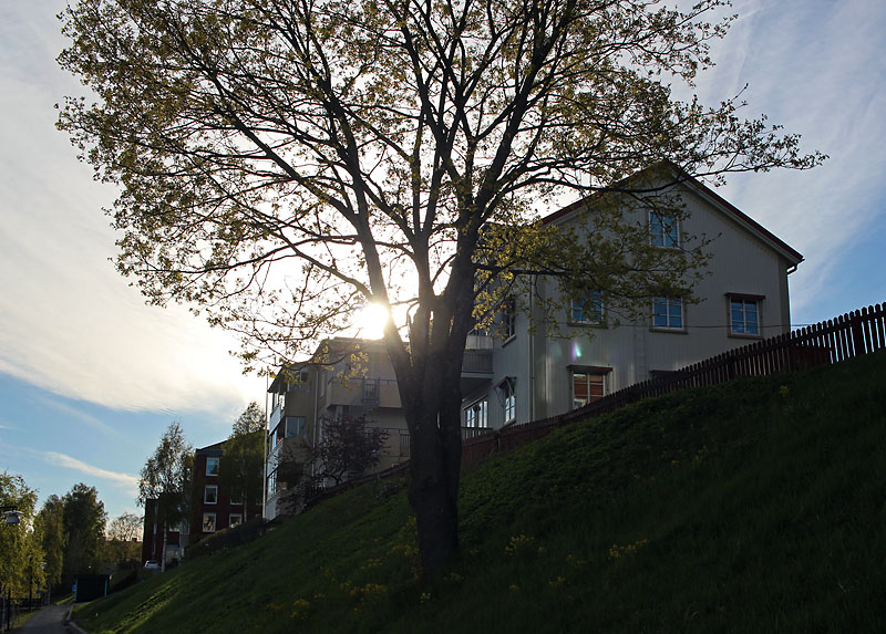 Skellefteå