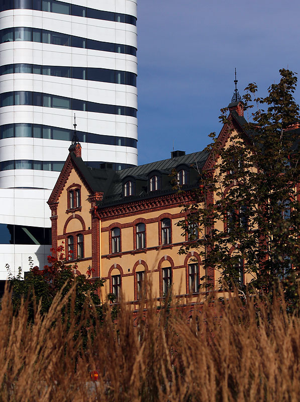 Umeå