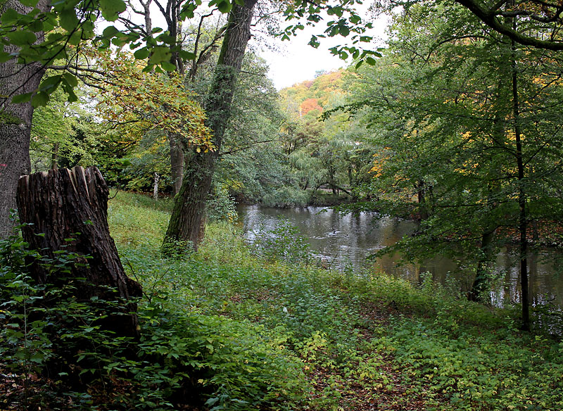 Slottsskogen