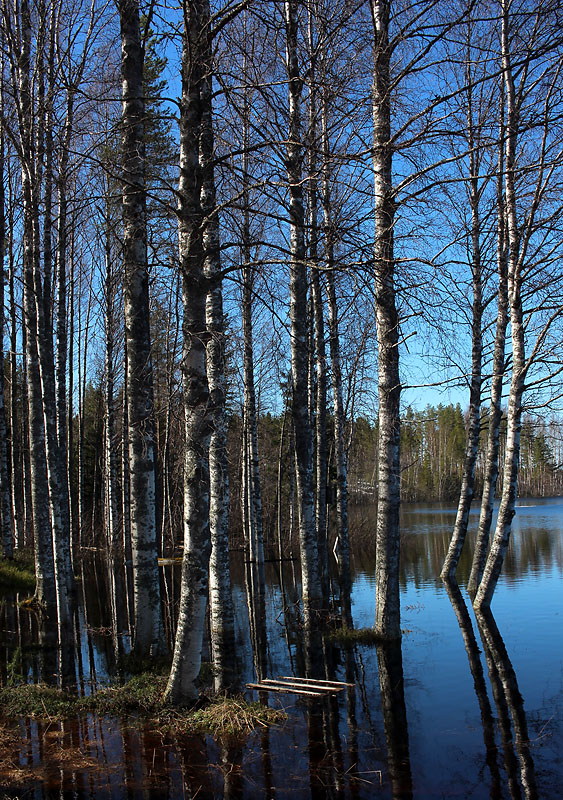 Finnträsk