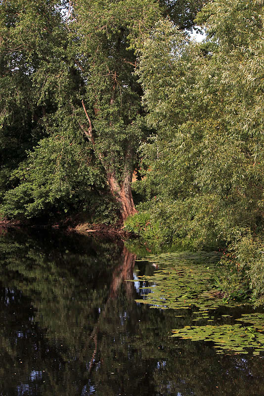 Halmstad