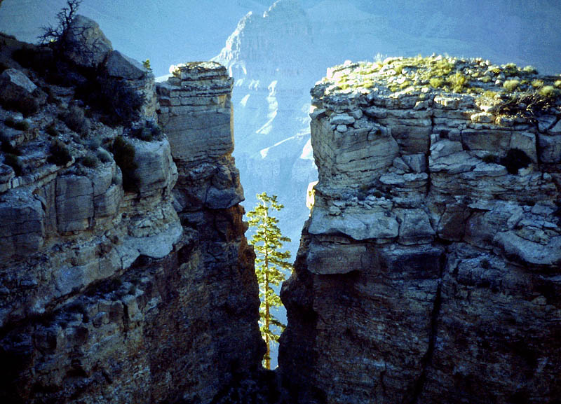 Grand Canyon