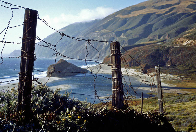 Vid Highway One