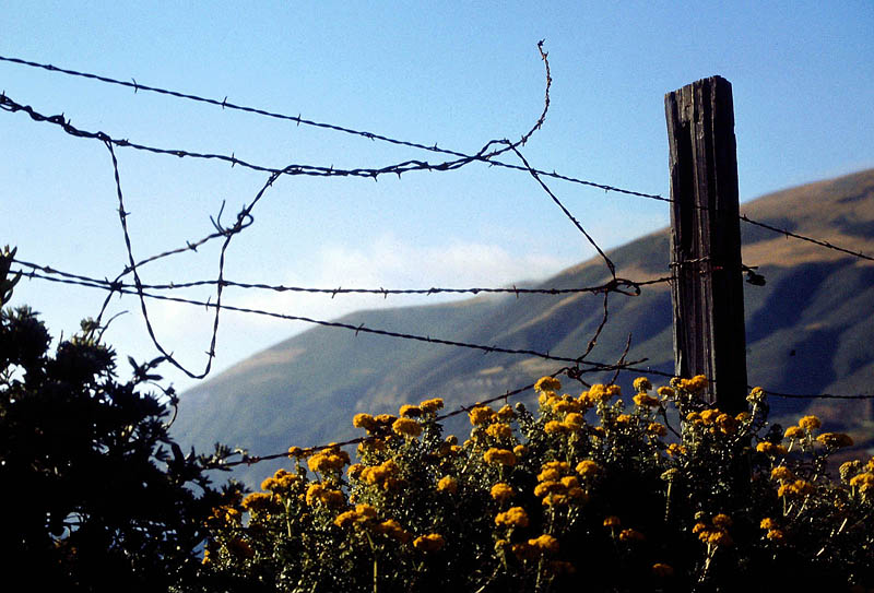 Vid Highway One