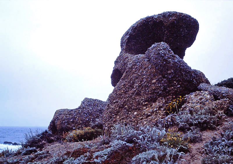 Point Lobos