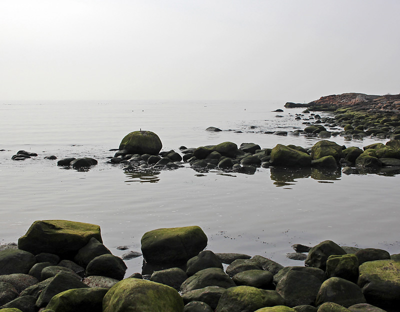 Laxvik