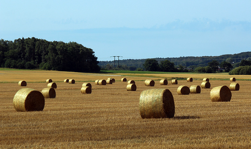 Halmstad