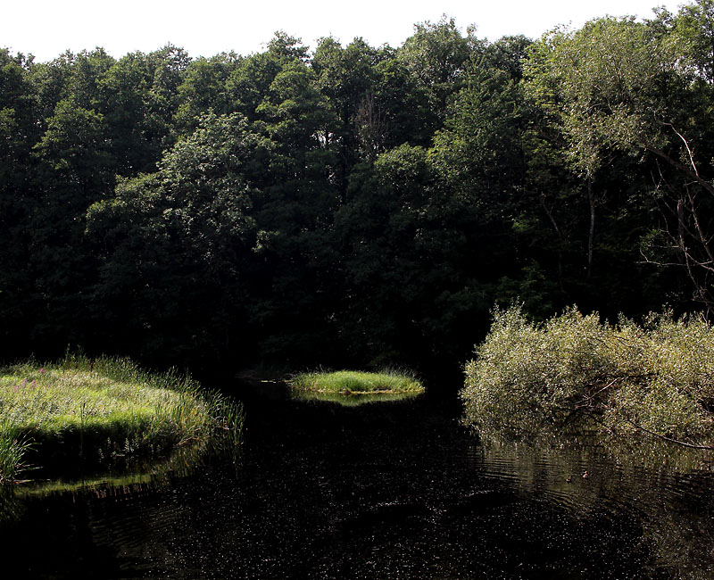 Fylleån