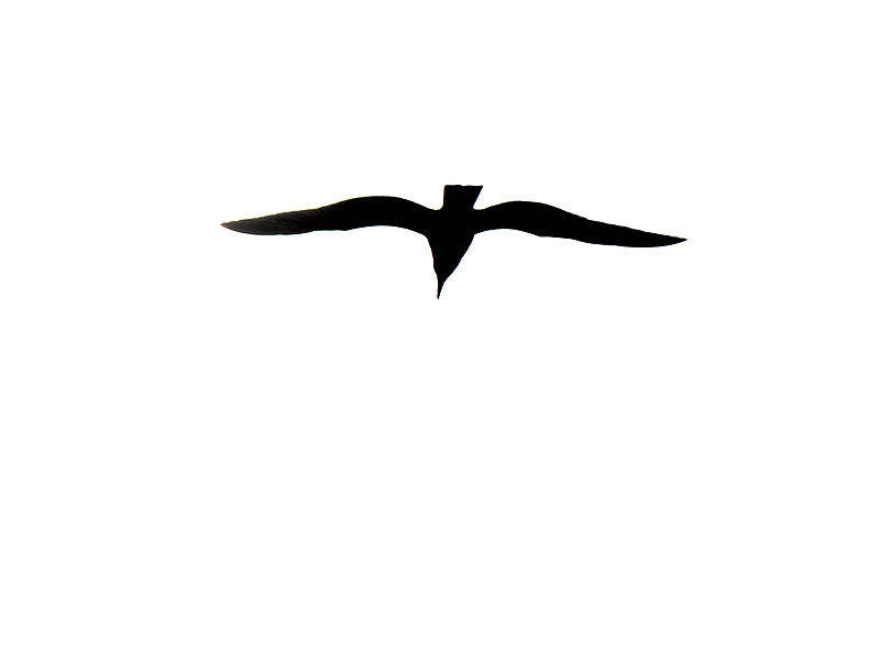 Halmstad