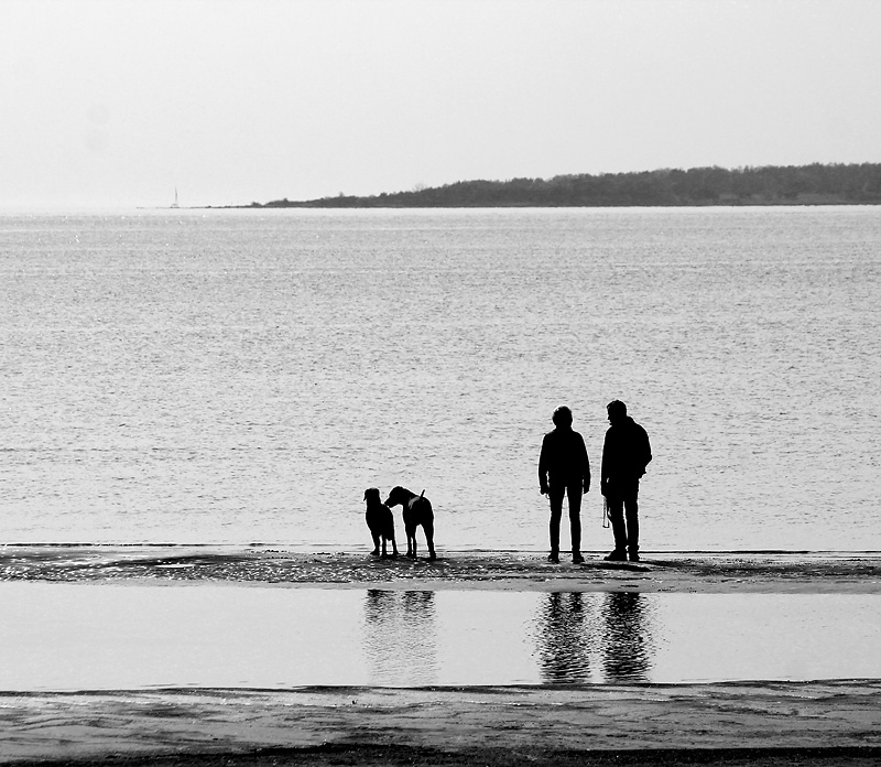 Halmstad