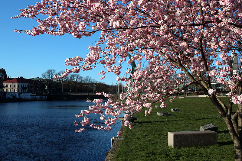 Halmstad