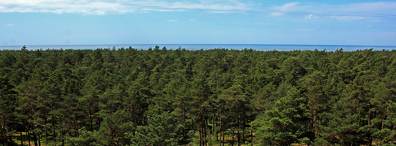 Halmstad