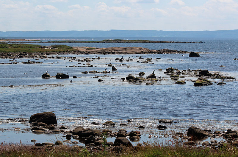 Halmstad