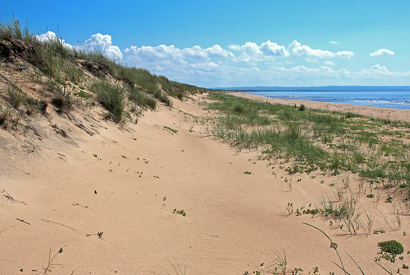 Halmstad
