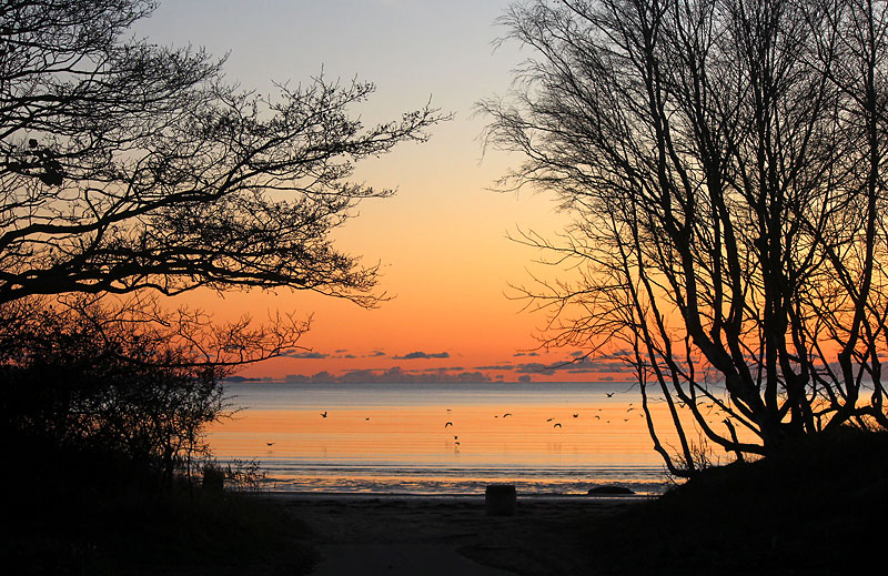 Halmstad