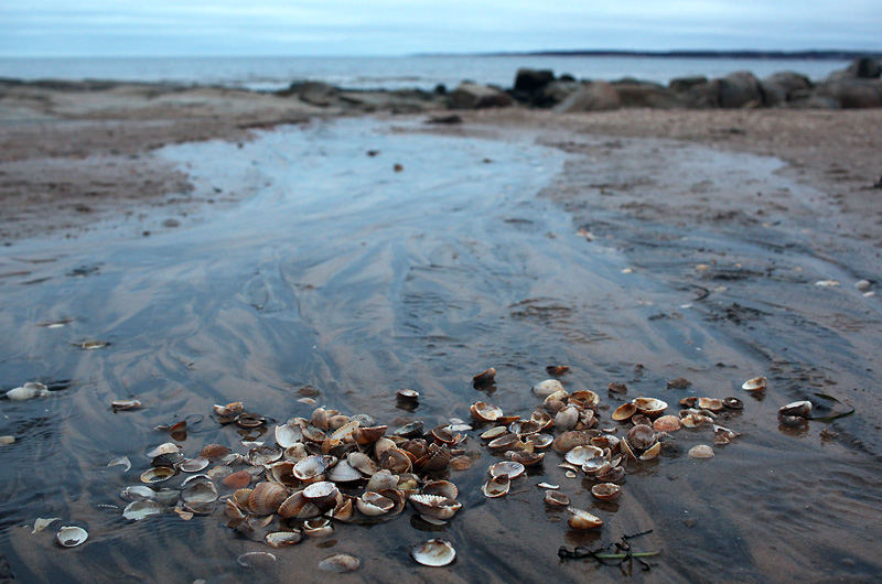 Halmstad