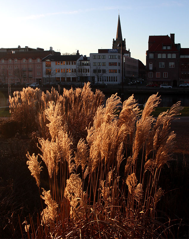 Halmstad