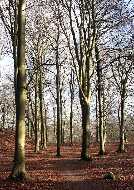 Halmstad