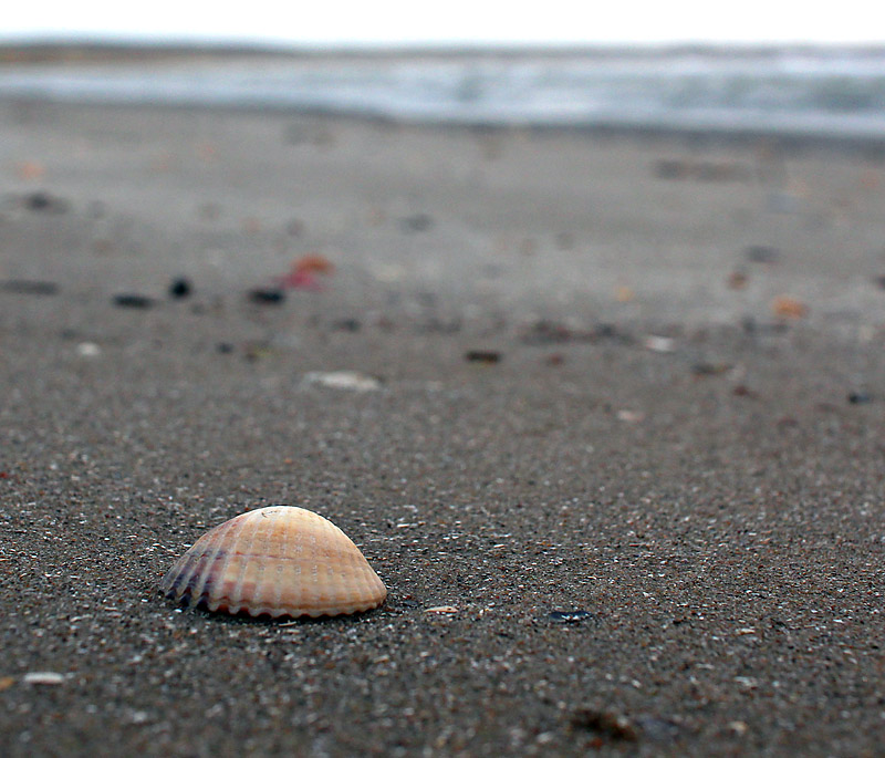 Halmstad