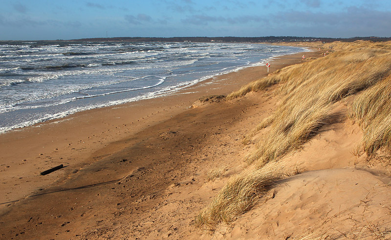 Halmstad