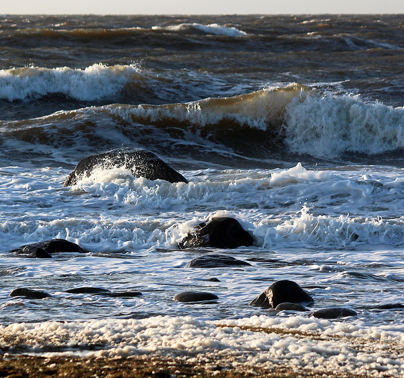 Halmstad