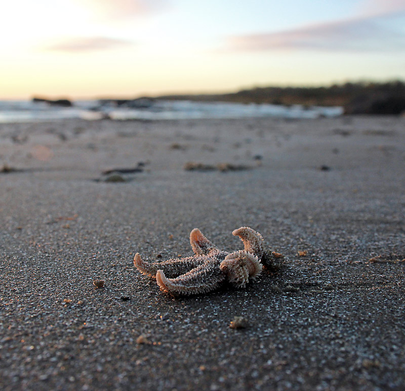 Halmstad