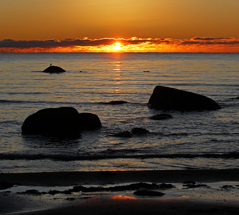 Halmstad
