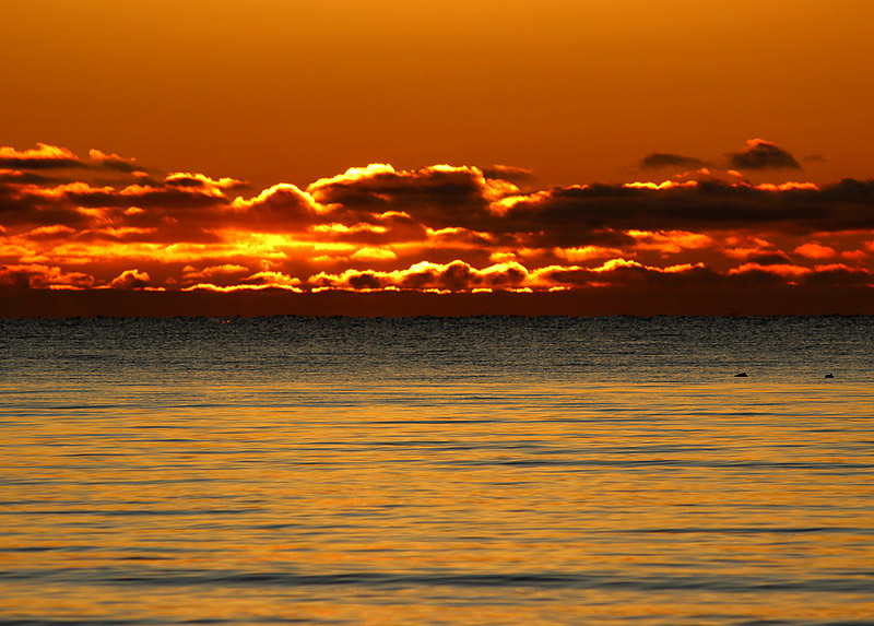 Halmstad